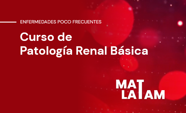 Patología Renal Básica